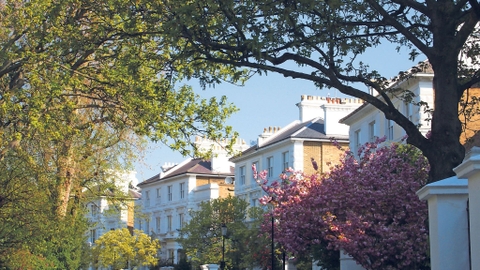 Explore Market Insights - tlc Estate Agents